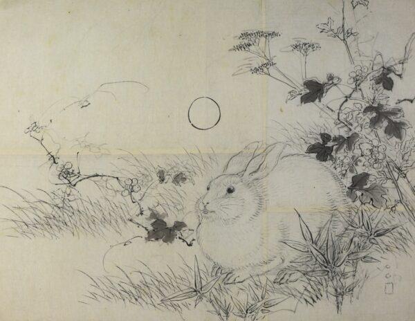 "Rabbit" by Taki Katei or Ishibashi Kazunori. Paper and ink; 16 5/8 inches by 21 inches. (Keith Sweeney/ National Museums Liverpool)