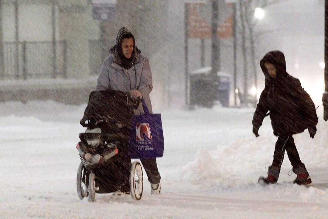 Storm Builds Over US East, Promises up to 20 Inches of Snow