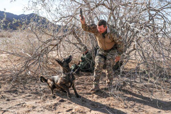 Border Patrol BORSTAR supervisory agent Chad Smith rewards his K-9 Kyra after she found a hidden person during a training exercise near the Imperial Sand Dunes, Calif., on Nov. 30, 2019. (Charlotte Cuthbertson/The Epoch Times)
