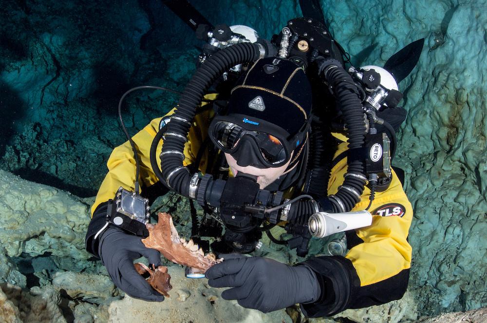 A diver with a Protocyon jaw and vertebra. Bones of Ice Age beasts that roamed Earth more than 13,000 years ago have been found in an underwater cave in Mexico. (©SWNS)