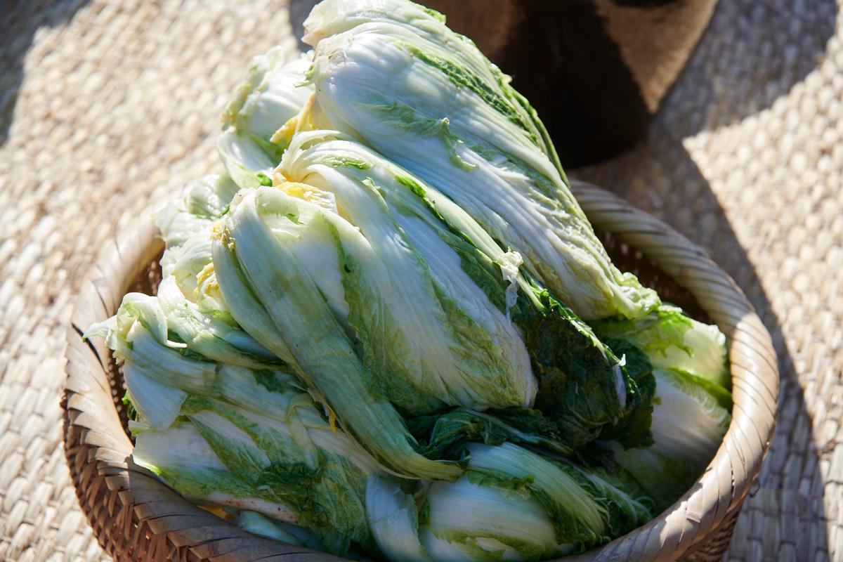 Whole brined heads of cabbage. (Courtesy of Nasoya)