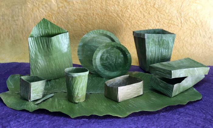 20-Year-Old Inventor in India Creates Biodegradable Plastic Substitute Made From Banana Leaves