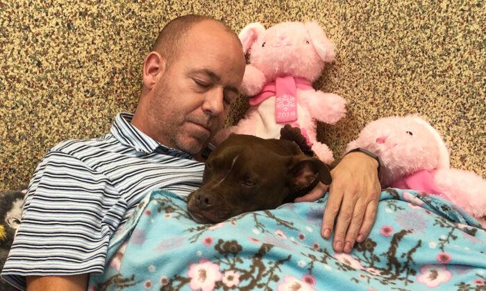Dog Shelter Volunteer Moves Into Kennel With Lonely Dog Nobody Wants to Help Her Get Adopted