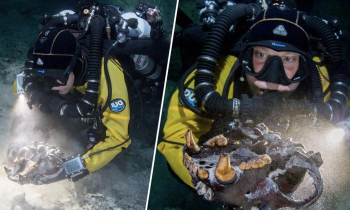 Bones of Ice Age Beasts From Over 13,000 Years Ago Found in Underwater Cave in Mexico