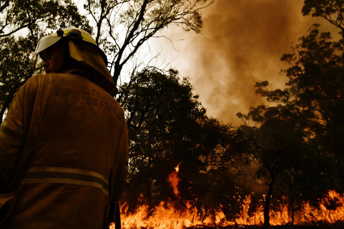 Rural Fire Service firefighters are seen by containment lines at the Three Mile Fire in the suburb of Kulnura on the Central Coast, Australia, on Dec. 10, 2019. (Sam Mooy/Getty Images)