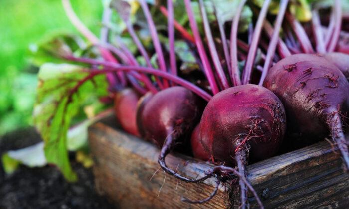 Beets: Evidence-Based Health Benefits
