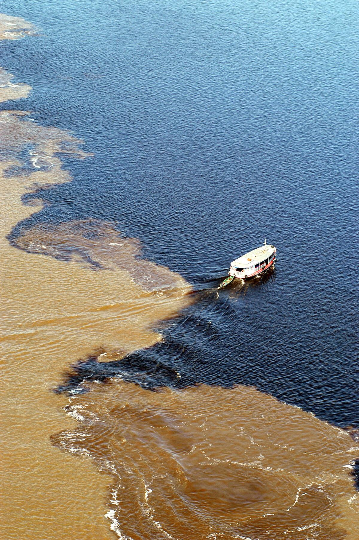 At the Encontro das Águas, “The Meeting of Waters,” the dark Rio Negro meets but doesn’t mix with the sandy-colored Amazon River. (Courtesy of Amazon Nature Tours)