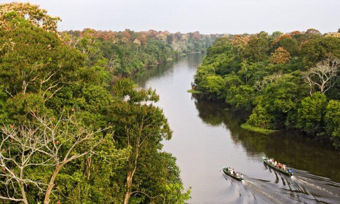 Voyage to the Heart of the Amazon