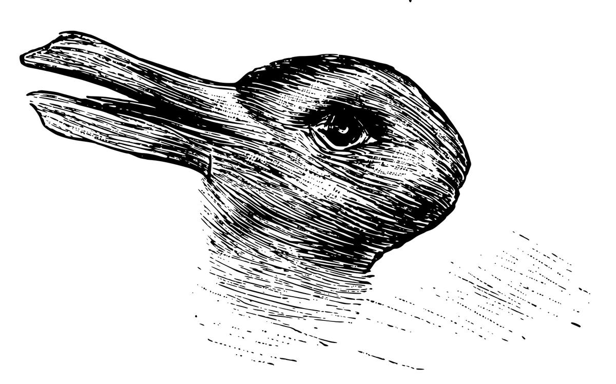 (<a href="https://en.wikipedia.org/wiki/Rabbit%E2%80%93duck_illusion#/media/File:Kaninchen_und_Ente.svg">Public Domain</a>)
