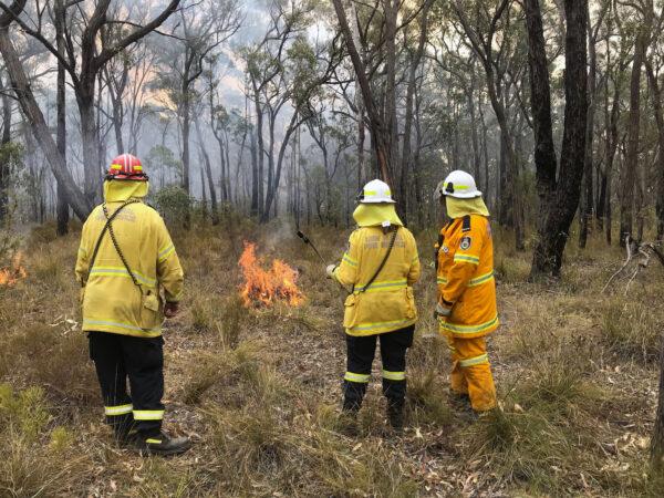 New South Wales Rural Fire Service observers during back burnning operations near Picton, Australia, on Dec. 22, 2019. (Jill Gralow/Reuters)