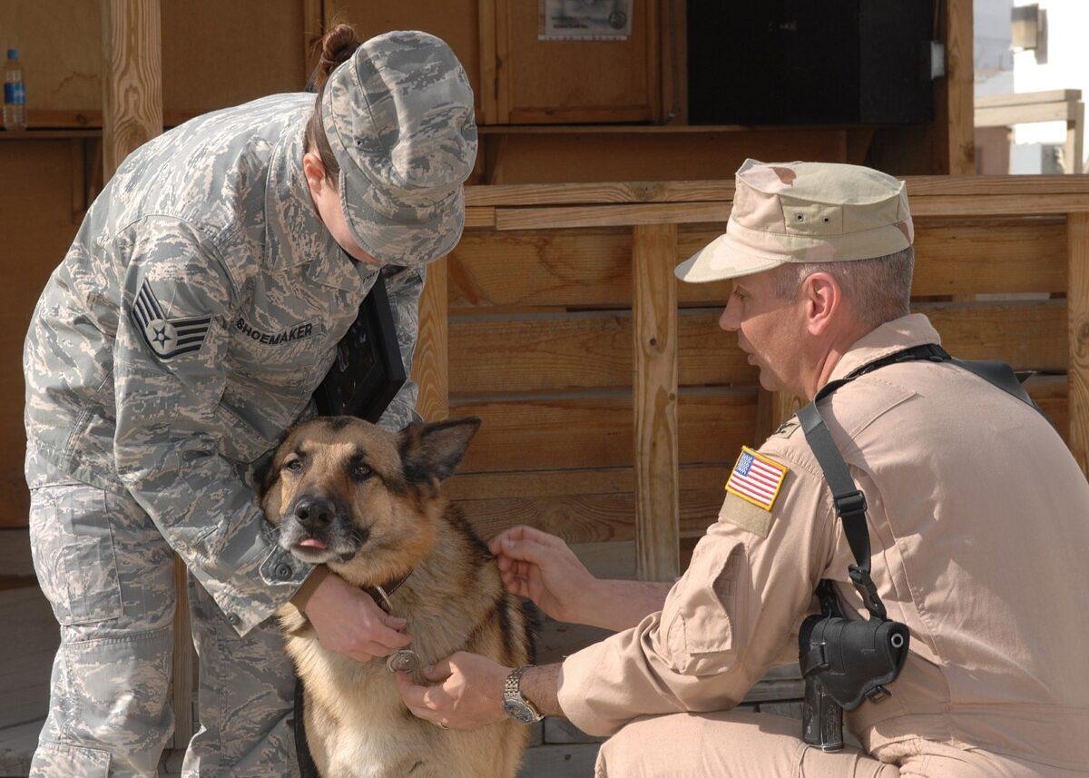 Two U.S. soldiers are seen with a military working dog at an Afghanistan military base in an undated photo. (U.S. Air Force photo by Master Sgt. Demetrius Lester)