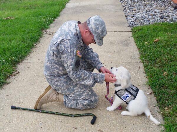 A service member working with a puppy that will become a service dog for another veteran. (Courtesy of Warrior Canine Connection)