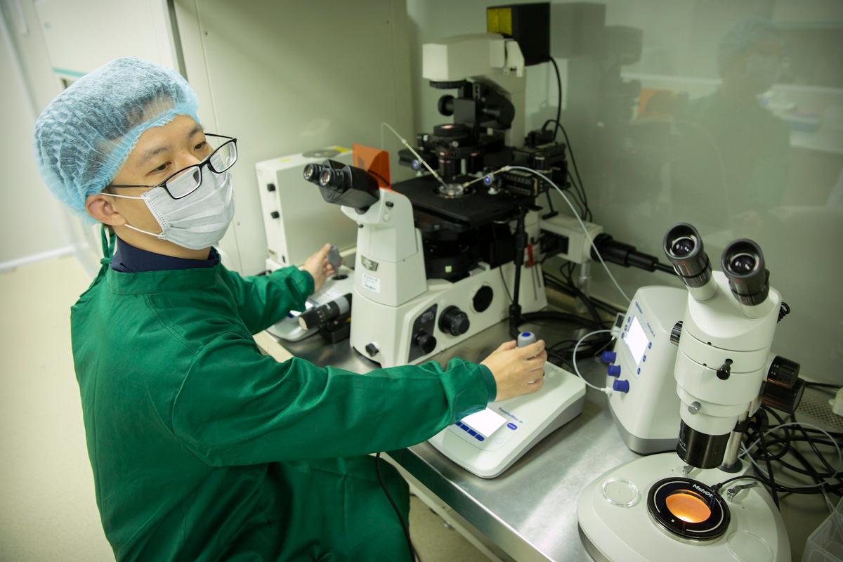 Chinese scientist Qin Jinzhou works with embryos in a laboratory in Shenzhen in southern China's Guangdong Province on Oct. 9, 2018. (Mark Schiefelbein/AP Photo)