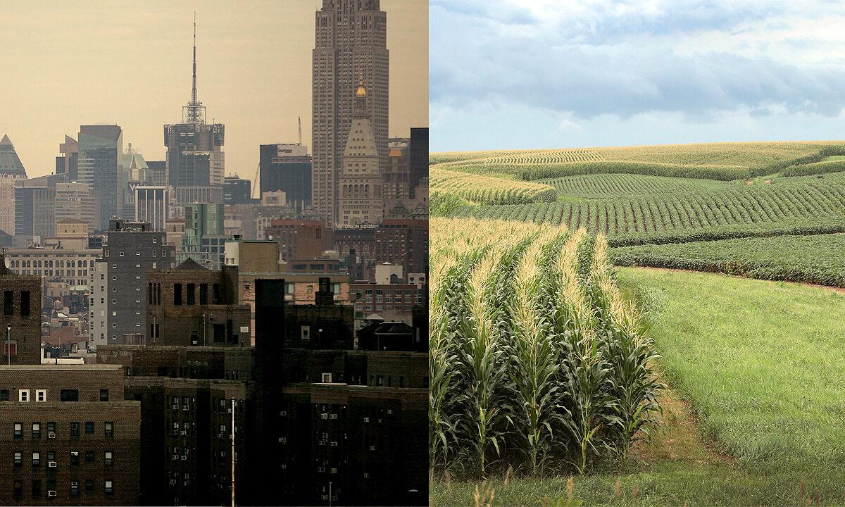 Right: The skyline of downtown Manhattan in New York on Jan. 12, 2007. Left: Corn and soybeans grow on a farm near Tipton, Iowa, on July 13, 2018. (Spencer Platt/Scott Olson/Getty Images)