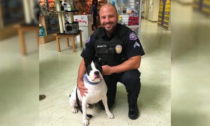 Police ‘K9 for a Day’ Program Takes Shelter Dogs Along on Patrol Rides and Helps Them Get Adopted