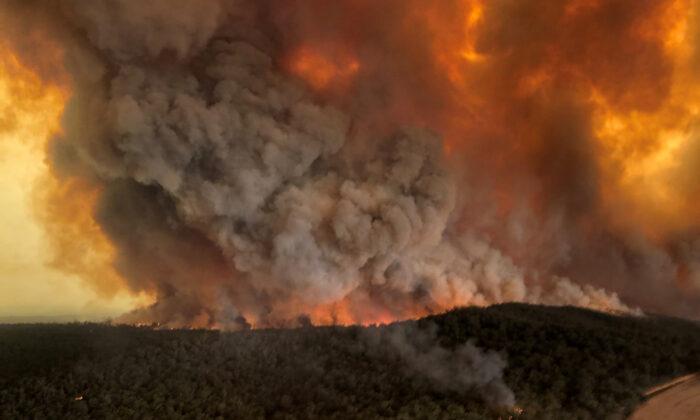 Environmentalists Responsible for Much of Australia’s Bush Fire Problem