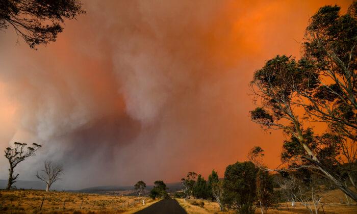 Australia to Pay ‘Whatever It Takes’ to Fight Wildfires
