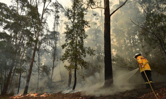 Australia Begins Damage Assessment Amid Temporary Respite From Bushfires