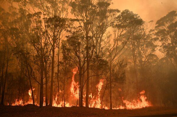 A bushfire burns in the town of Moruya, south of Batemans Bay, in New South Wales on January 4, 2020. (PETER PARKS/AFP via Getty Images)
