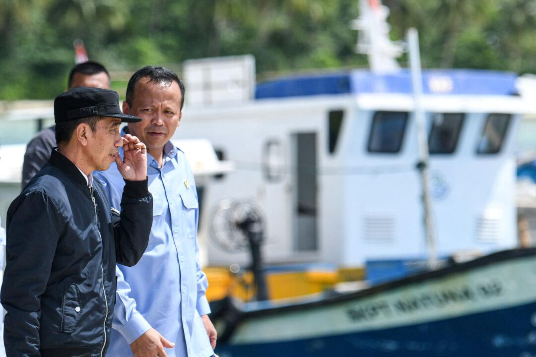 Former Indonesian Minister Jailed for 5 Years Over Lobster Graft Scandal