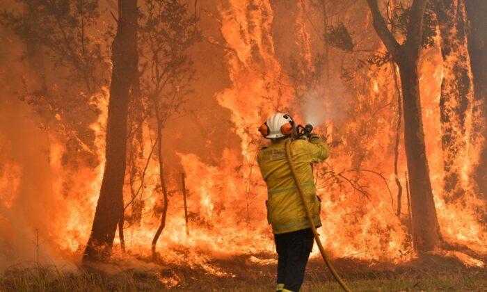 Wildfire Smoke Killed Hundreds of Australians Last Summer