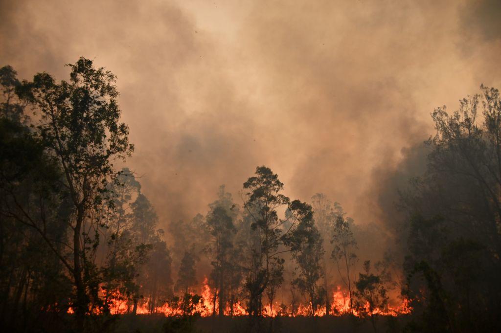 A fire rages in the town of Bobin, 350 kilometers north of Sydney, on Nov. 9, 2019. (©Getty Images | <a href="https://www.gettyimages.com/detail/news-photo/fire-rages-in-bobin-350km-north-of-sydney-on-november-9-as-news-photo/1181055848?adppopup=true">PETER PARKS</a>)