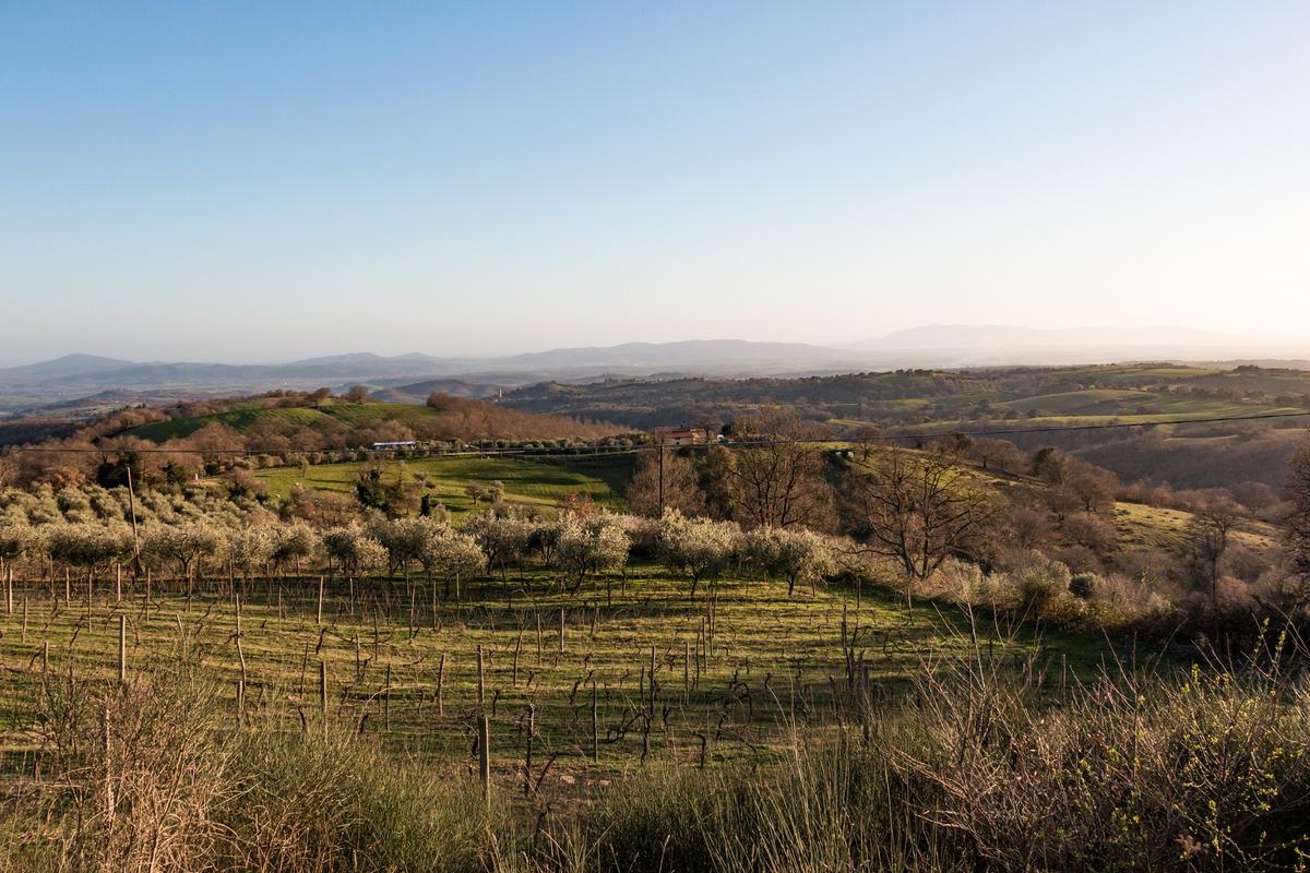 The Maremma, one of the wildest areas of Tuscany. (Tommaso Galli)