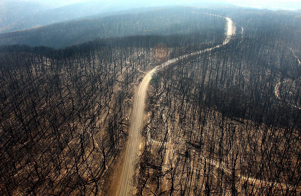 A dirt track runs through burnt-out forest in the devastated Kinglake region of Melbourne, Australia, on Feb. 12, 2009. (©Getty Images | <a href="https://www.gettyimages.com/detail/news-photo/dirt-track-runs-through-the-burnt-out-forest-in-the-news-photo/84754411?adppopup=true">Luis Ascui</a>)