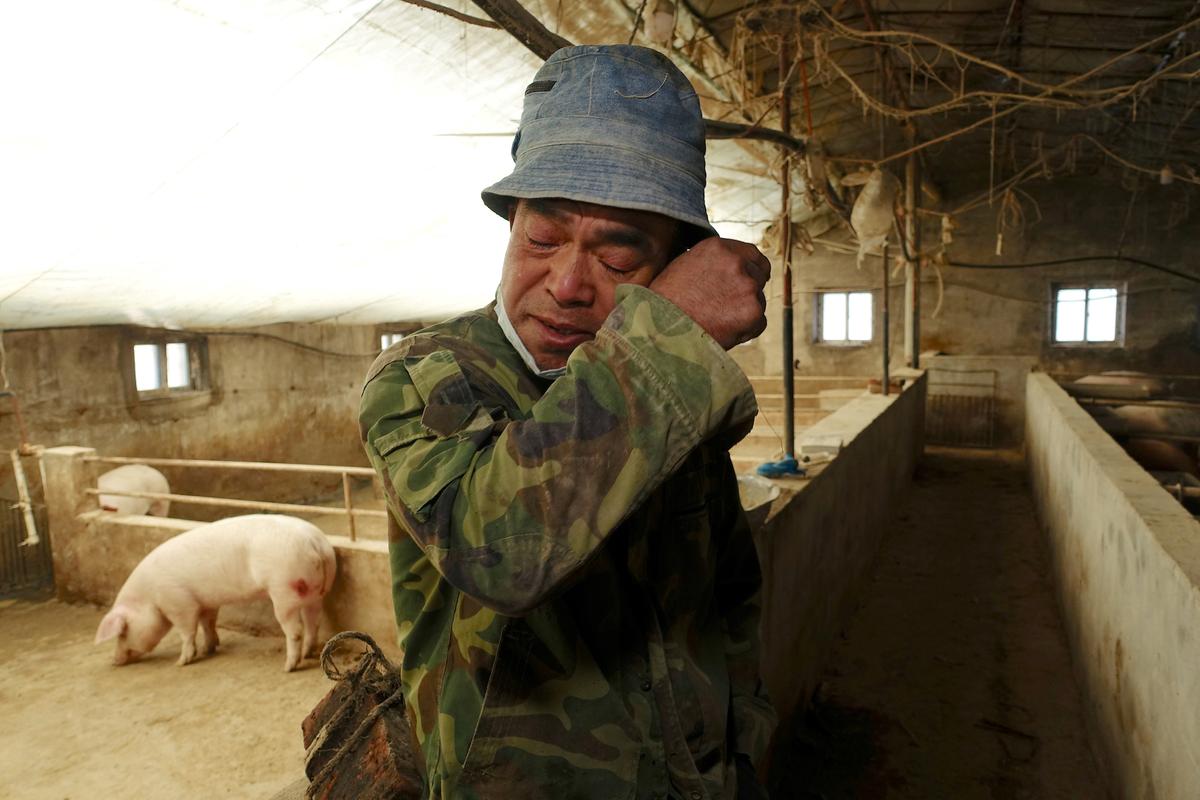 Pig farmer Han Yi wipes his tears as he speaks to Reuters on his farm at a village in Changtu County, Liaoning Province, China on Jan. 17, 2019. (Ryan Woo/Reuters)