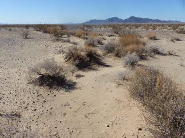 The site for a new 3,000-acre solar project, the Desert Quartzite Solar Project, approved by the Bureau of Land Management on Jan. 16, in eastern Riverside County, Calif. (Bureau of Land Management)