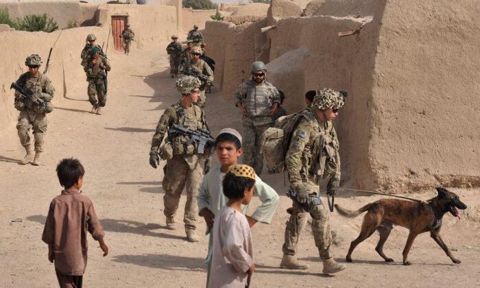 Army Ranger Dog Maiko Killed Engaging Militants in Afghanistan, Saves Lives of Ranger Regiment