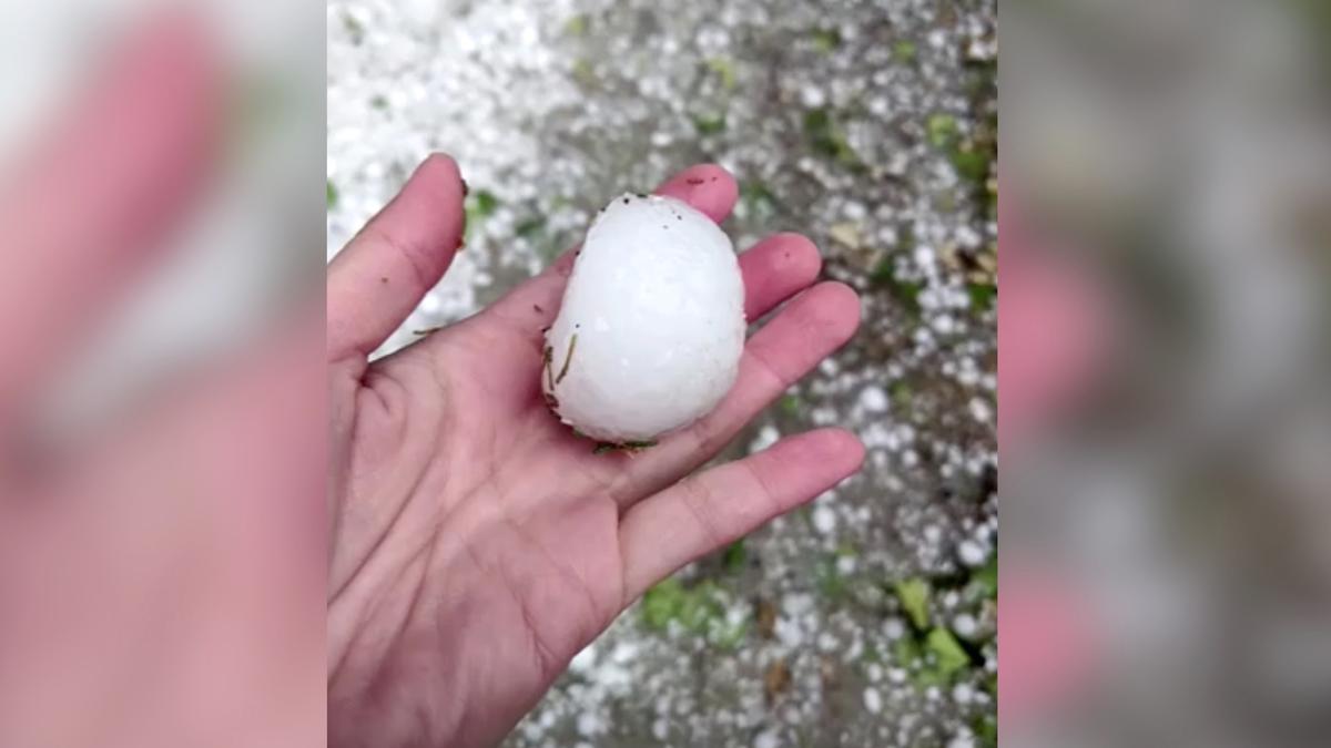 Australian holding a hail stone in Canberra, Australia on Jan. 19, 2020. (Still image from video via Reuters)
