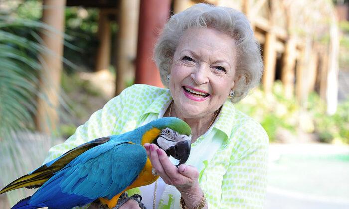 Betty White at the Los Angeles Zoo in 2014. (©Getty Images | <a href="https://www.gettyimages.com/detail/news-photo/actress-betty-white-attends-the-greater-los-angeles-zoo-news-photo/450647250?adppopup=true">Angela Weiss</a>)