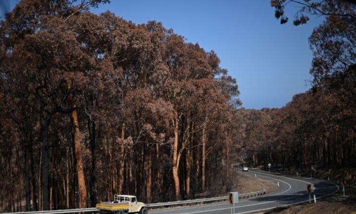 Australia Battles New Wildfire Threat as Smoke Cloaks Capital