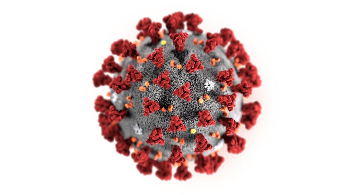 This illustration shows the new coronavirus (2019-nCoV). This virus was identified as the cause of an outbreak of respiratory illness first detected in Wuhan, China. (Centers for Disease Control and Prevention via AP)