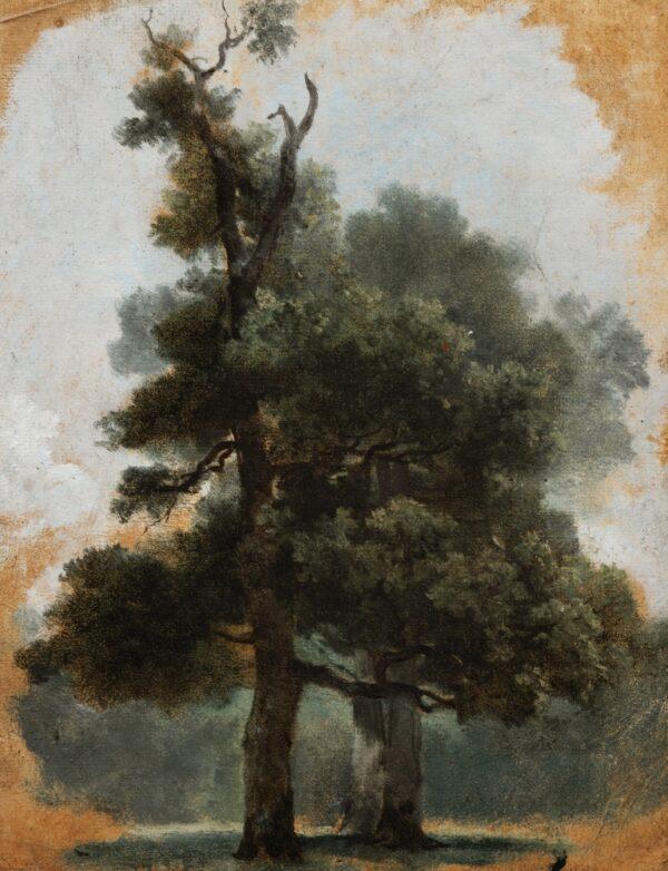 "Study of a Tree in the Bois de Boulogne," circa 1790, by Pierre-Henri de Valenciennes. Oil on paper, mounted on cardboard; 13 3/8 inches by 10 1/16 inches. Gift en lieu de succession by Jérôme Binda, Tinos (Greece). (Fondation Custodia, Frits Lugt Collection, Paris)