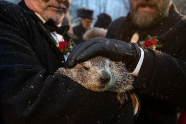 Groundhog Club co-handler Al Dereume holds Punxsutawney Phil, the weather prognosticating groundhog, during the 134th celebration of Groundhog Day on Gobbler's Knob in Punxsutawney, Pa., on Feb. 2, 2020. (Barry Reeger/AP Photo)