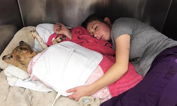 ‘I Kind of Just Froze Crying’: Vet Sleeps in Kennel to Comfort Dog Burned in Fire