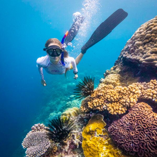 Snorkelling around Christmas Island, Australia. (Chris Bray)
