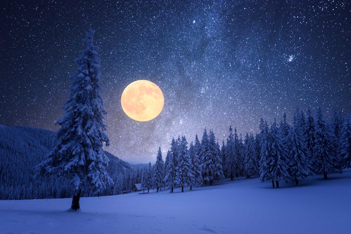 Illustration - Shutterstock | <a href="https://www.shutterstock.com/image-photo/winter-night-full-moon-starry-sky-1537847486">Kotenko Oleksandr </a>