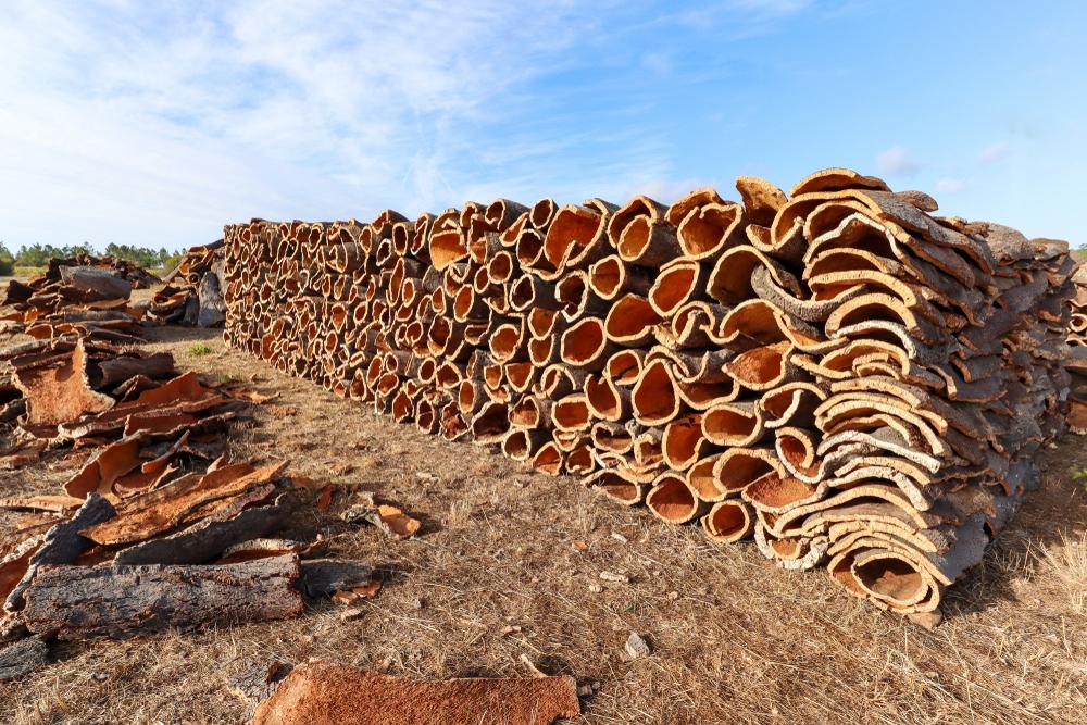 Harvested cork bark. (Shutterstock)