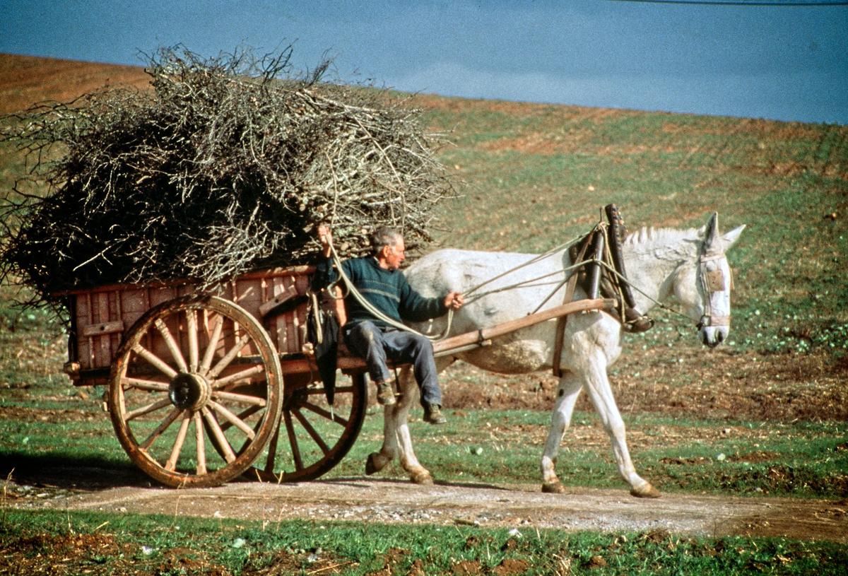 Now and then, you spot someone trekking along on a horse-drawn cart. (Fred J. Eckert)