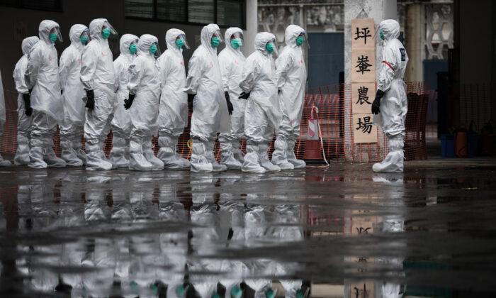 China Reports First H5N6 Bird Flu on Poultry Farm in Sichuan