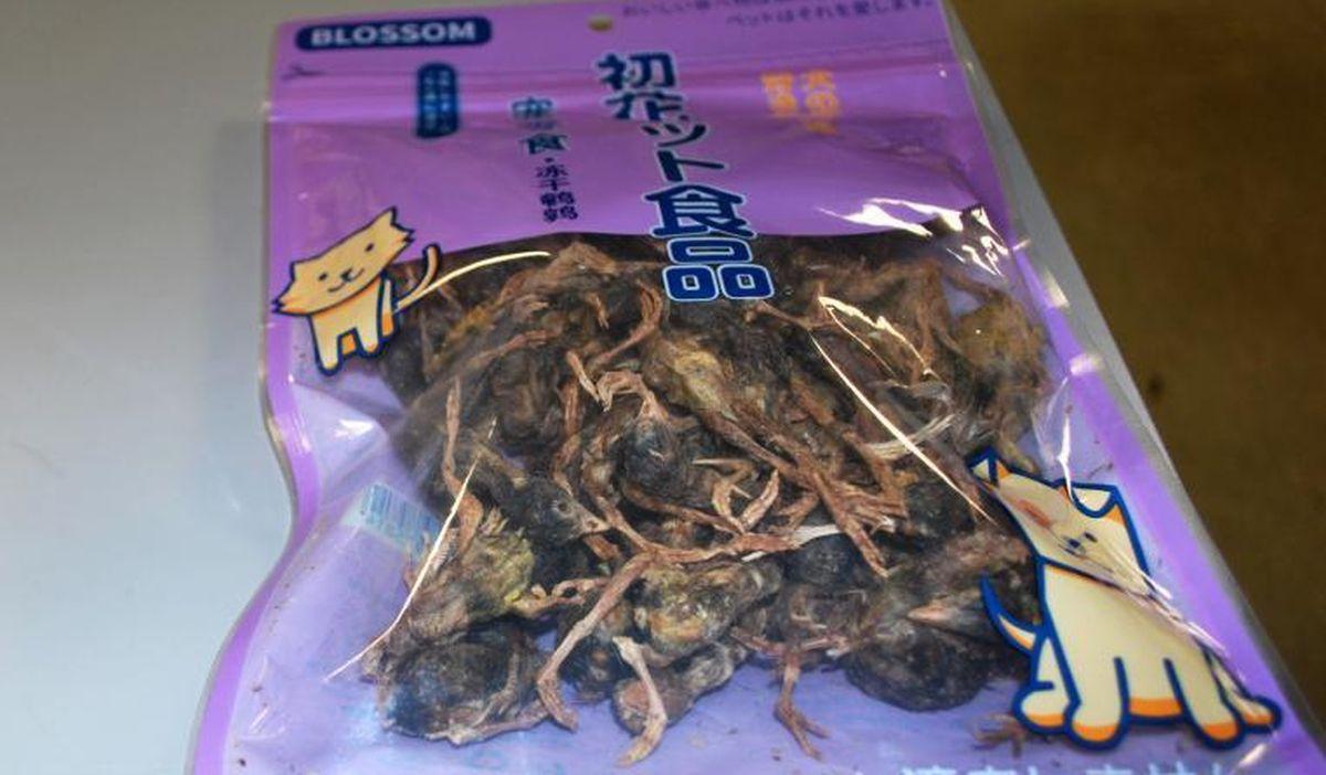 Customs Agents Seize Bag of Dead Birds From Passenger Traveling From China