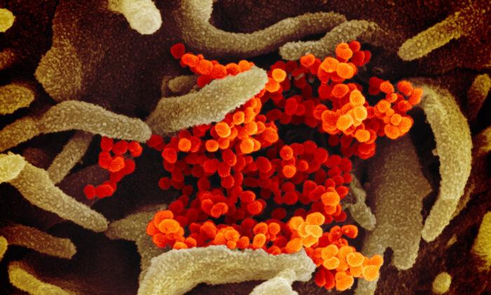 Ontario Reports 4 New Confirmed Cases of the Novel Coronavirus