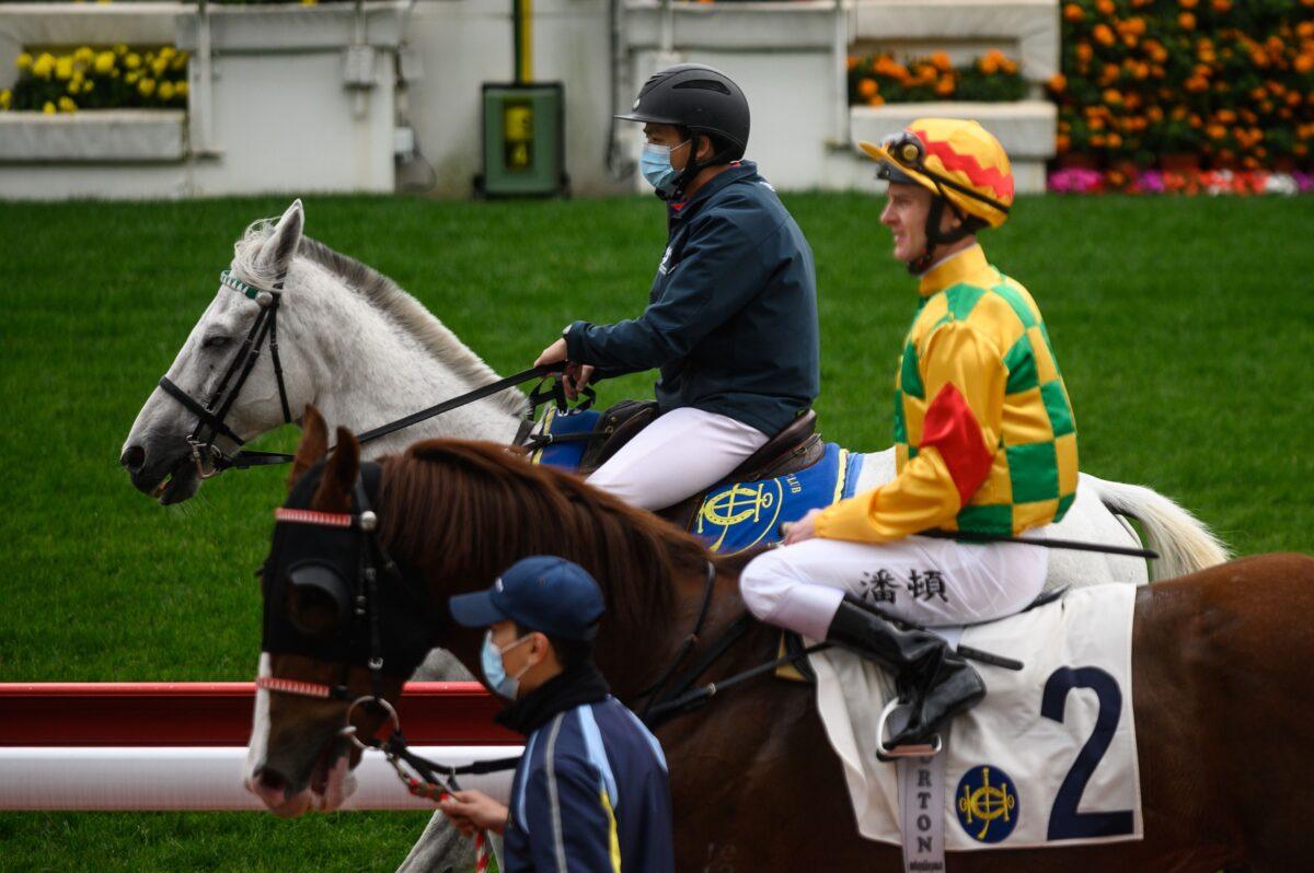 Employees of the Hong Kong Jockey Club (front and back) wearing face masks as a preventative measure against the COVID-19 coronavirus, guide Jockey Zac Purton (C) of Australia during the Hong Kong Gold Cup day at the Sha Tin racecourse on Feb. 16, 2020. (Philip Fong/AFP via Getty Images)