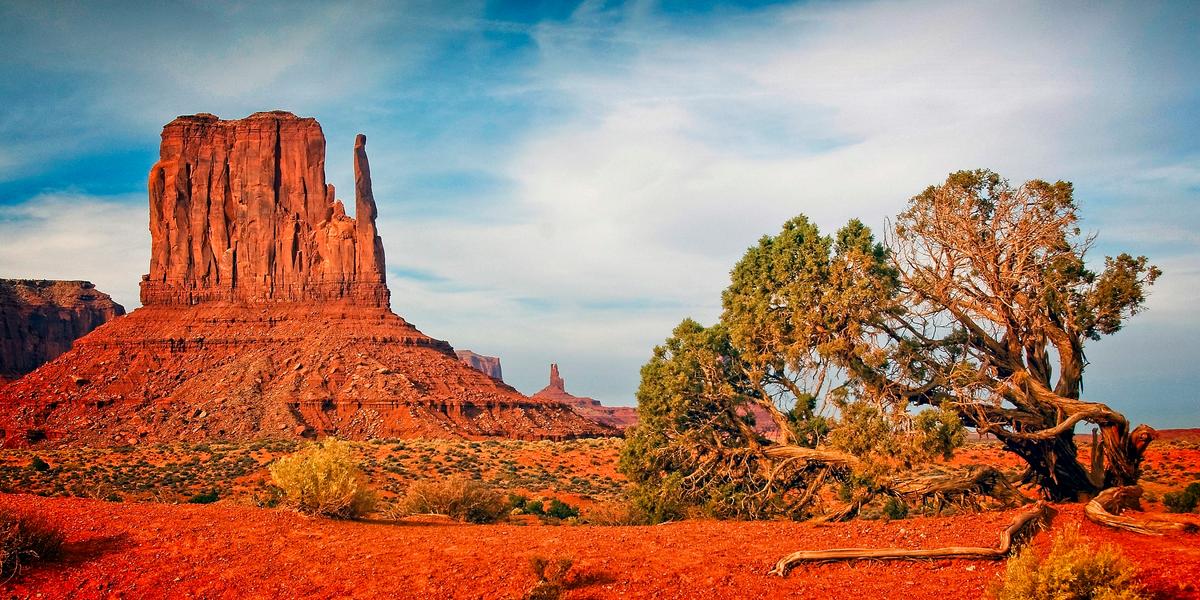 Mystery Valley, adjacent to Monument Valley, is a place of strange red rock formations and a scattering of desert plants. (Fred J. Eckert)