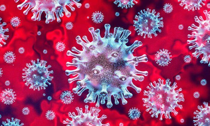 What Are Viruses, and Why Do They Make Us Sick?