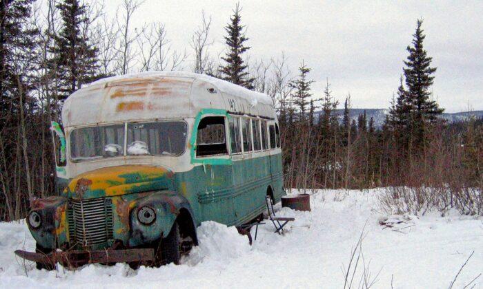 Italian Hikers Rescued in Alaska After Visiting Infamous Bus