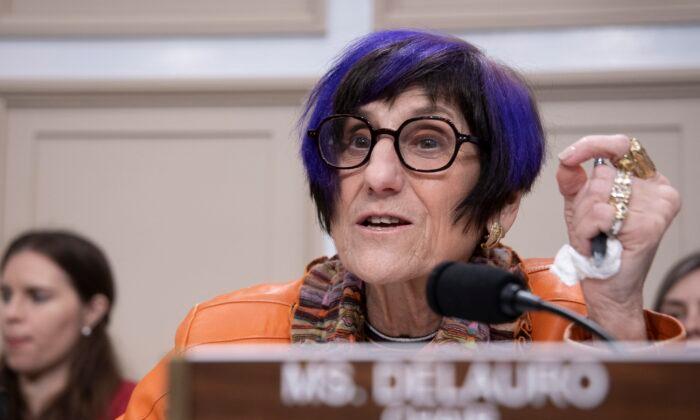 Rep. Rosa DeLauro (D-Conn.), chairwoman of the House Appropriations Subcommittee, speaks  in Washington on Feb. 26, 2020. (Tasos Katopodis/Getty Images)
